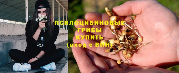 гидра Краснотурьинск
