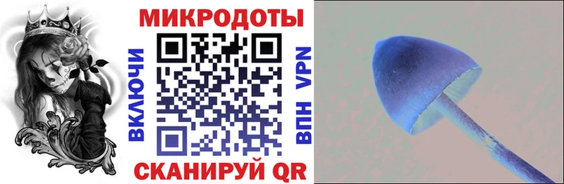 Галлюциногенные грибы ЛСД Буинск